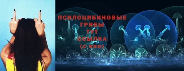 мдпв Нефтекумск