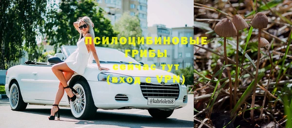 прущая мука Нея